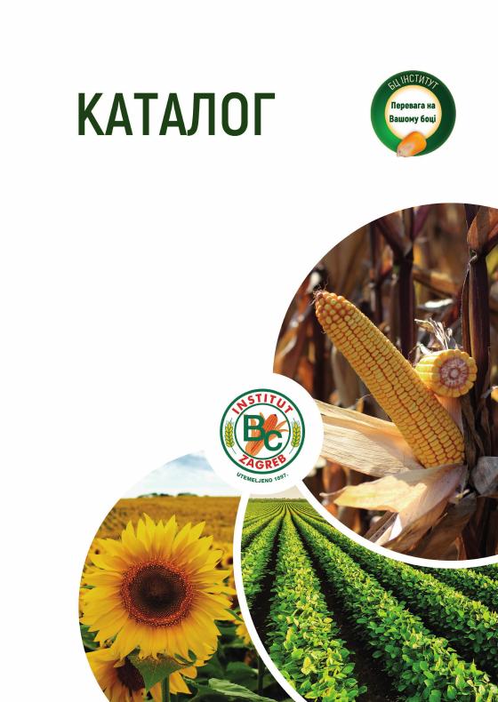 Каталог гібридів кукурудзи